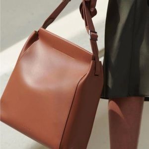 Everlane Form Leather Bag in Congac